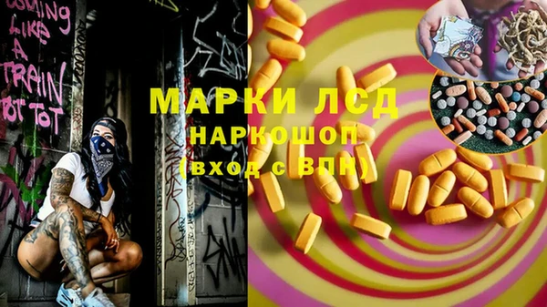 стафф Алзамай