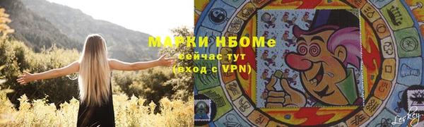 стафф Алзамай