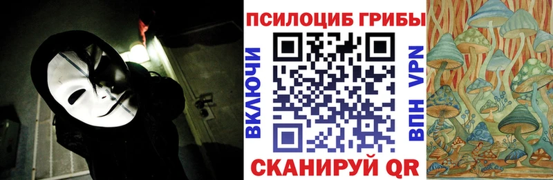 Псилоцибиновые грибы MAGIC MUSHROOMS  мега ТОР  Трубчевск 